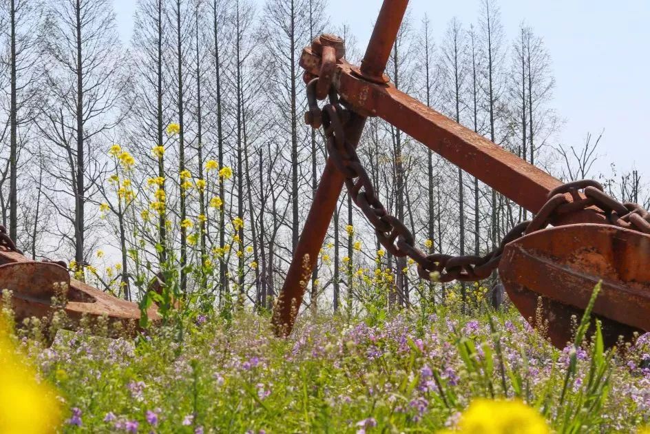 上海国庆小众旅行攻略路线图,上海出发国庆旅游攻略推荐