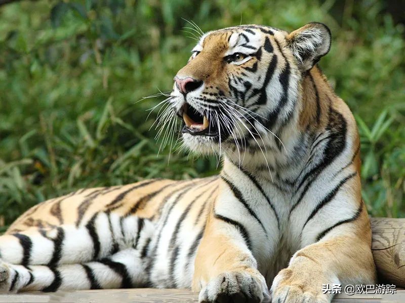 宁波东钱湖花博园酒店,宁波东钱湖亲子度假酒店排名