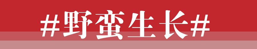 从国车到国民车的蜕变红旗,转变国产汽车印象的优秀车
