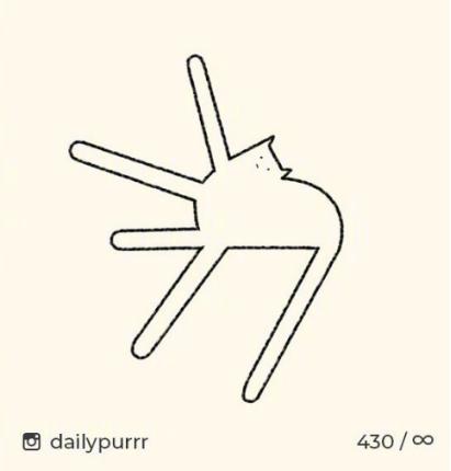 猫的内在品质,猫的本质就是嫌弃主人