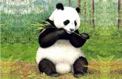 部编版三年级下册国宝大熊猫作文,三年级下作文国宝大熊猫写作指导