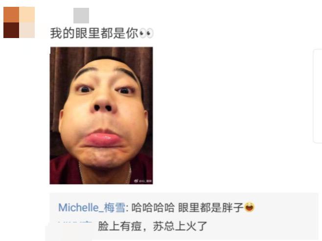 苏醒年轻的时候有多帅,苏醒现在的咖位算几线艺人