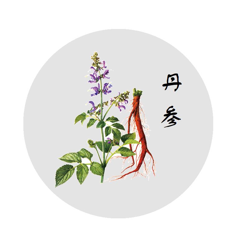 新开河参和高丽参功效有什么区别,什么中药和人参的功效一样