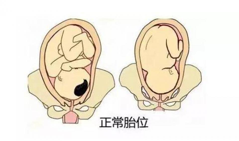 孕28周后产检主要查什么,孕33周5天孕妈提醒