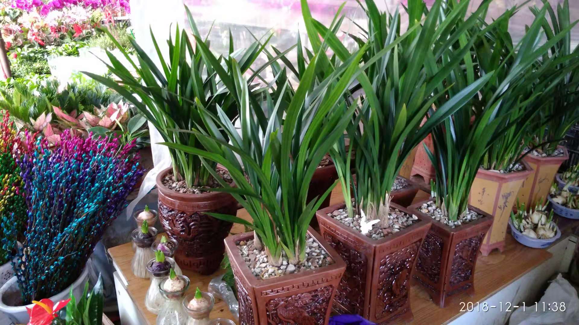 沈阳花卉市场扔花的地方,沈阳花卉市场