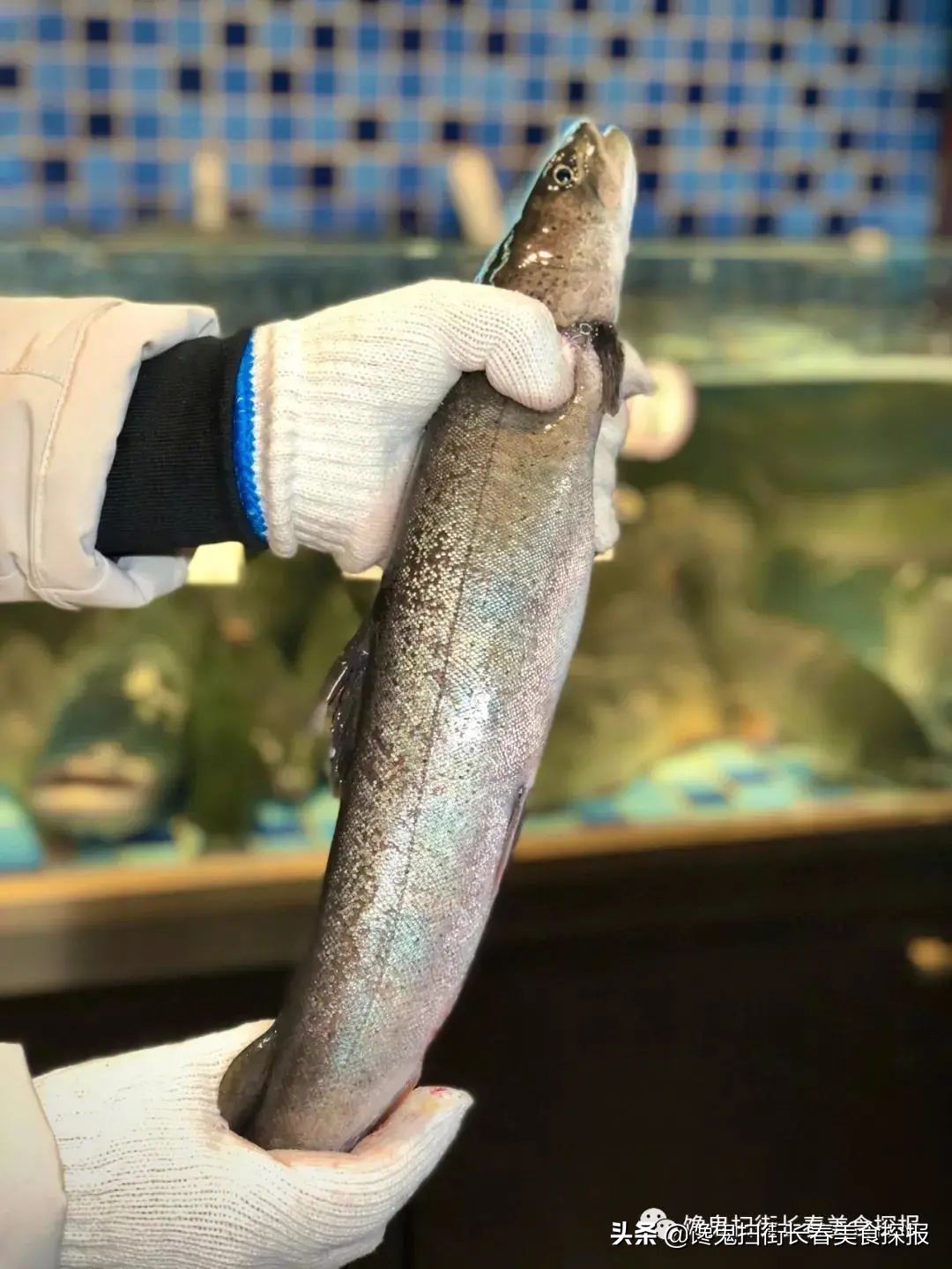 长春十个必去的经典馆子,长春市有哪些好吃的馆子