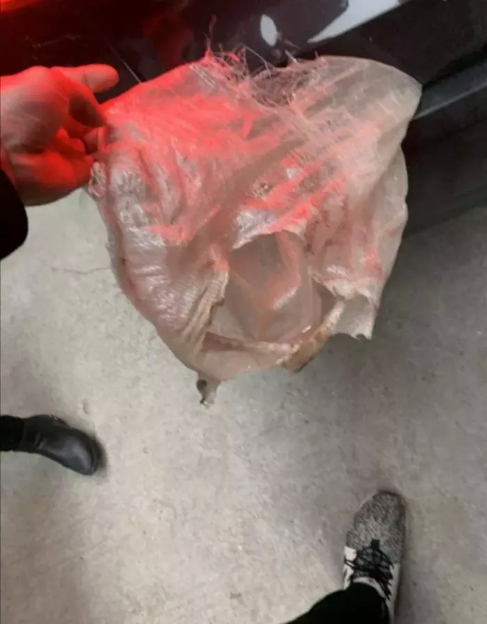 为什么要挂个锤子在墙上,第一次去男朋友家看到墙上挂什么