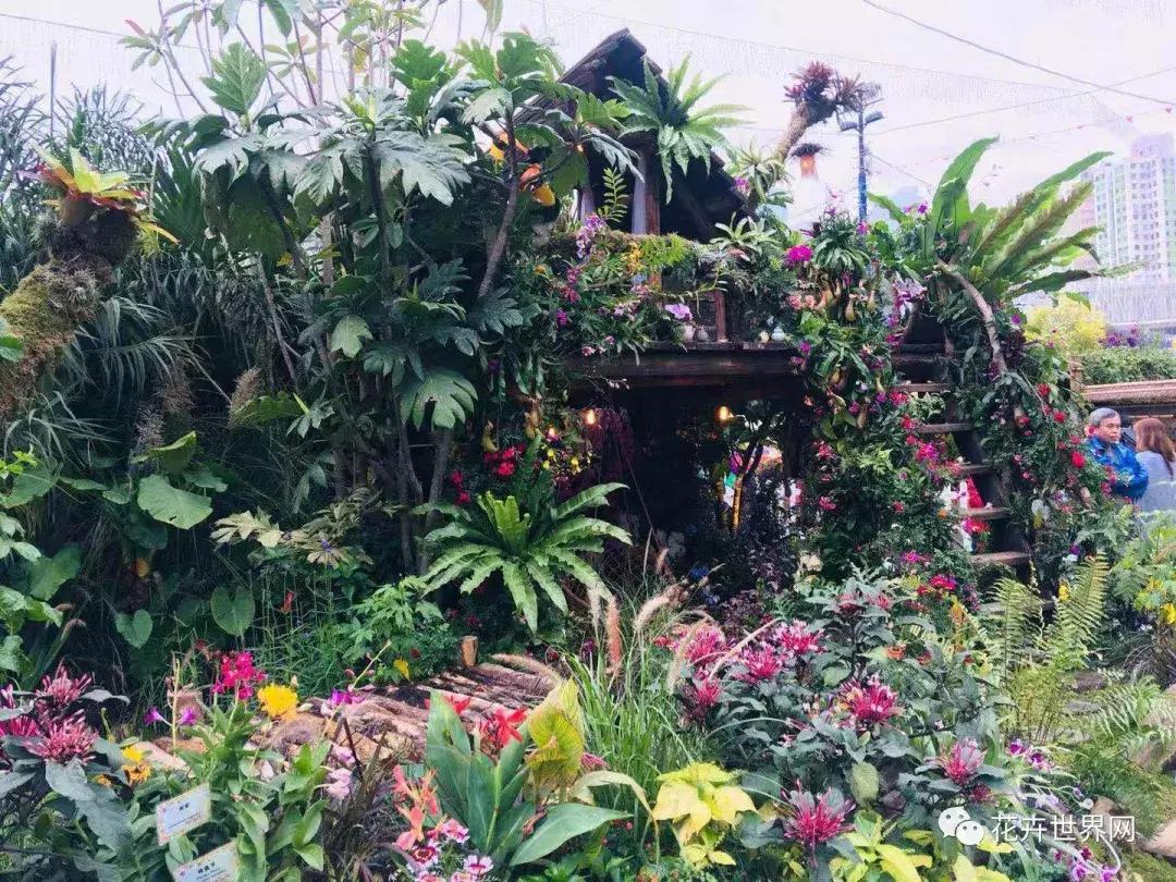 共赴盛会活动,香港国际花卉展