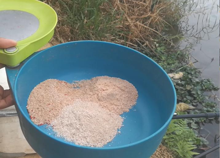 如何钓鲮鱼教你一招,钓鲮鱼饵料怎么搭配