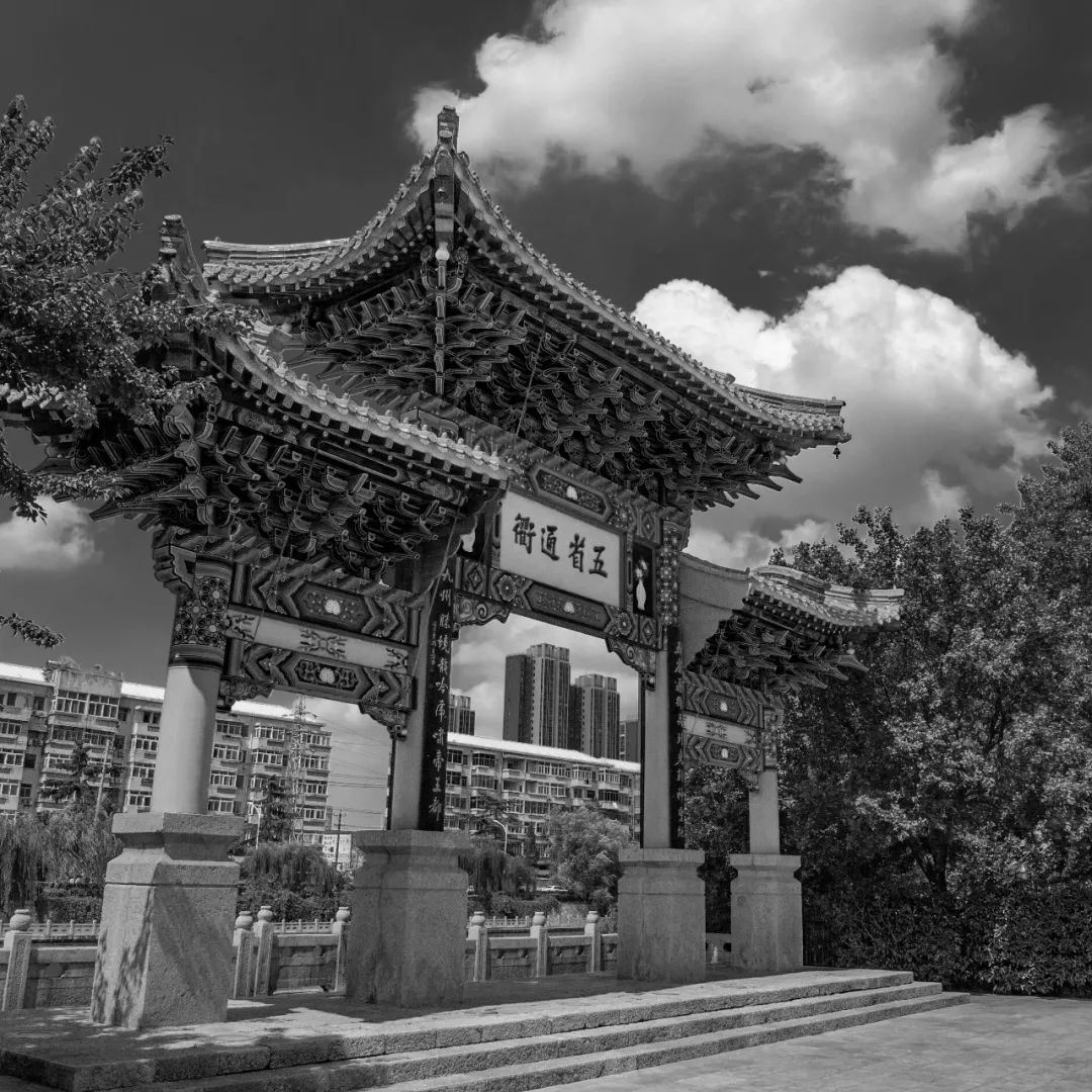 传奇徐州,无问南北