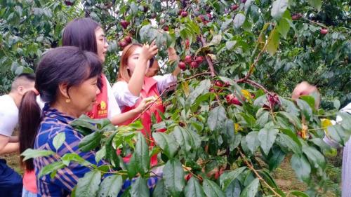 长城网雄安报道,长城网专题报道