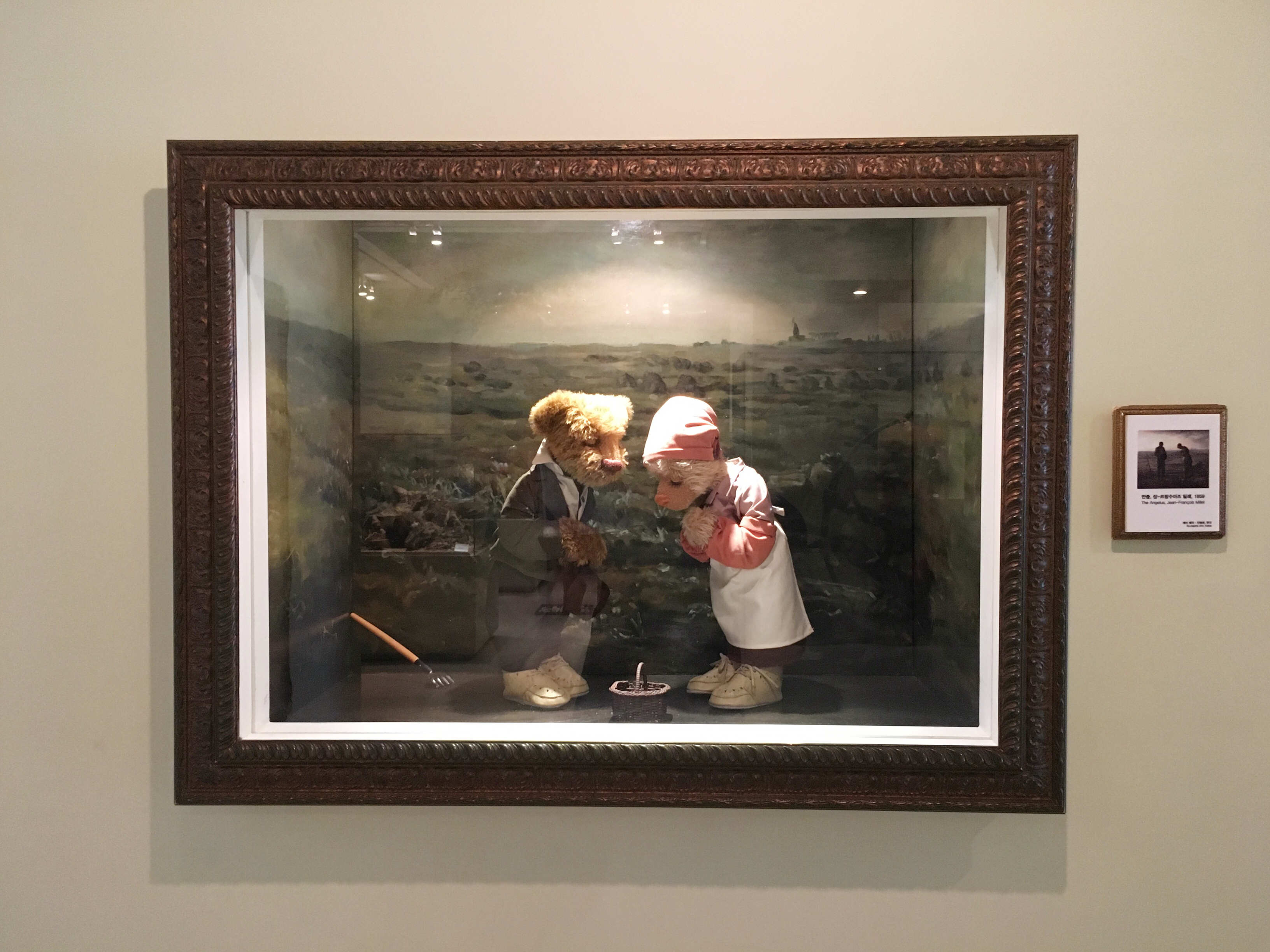 出国游玩新手小白,出国去韩国济州岛打工