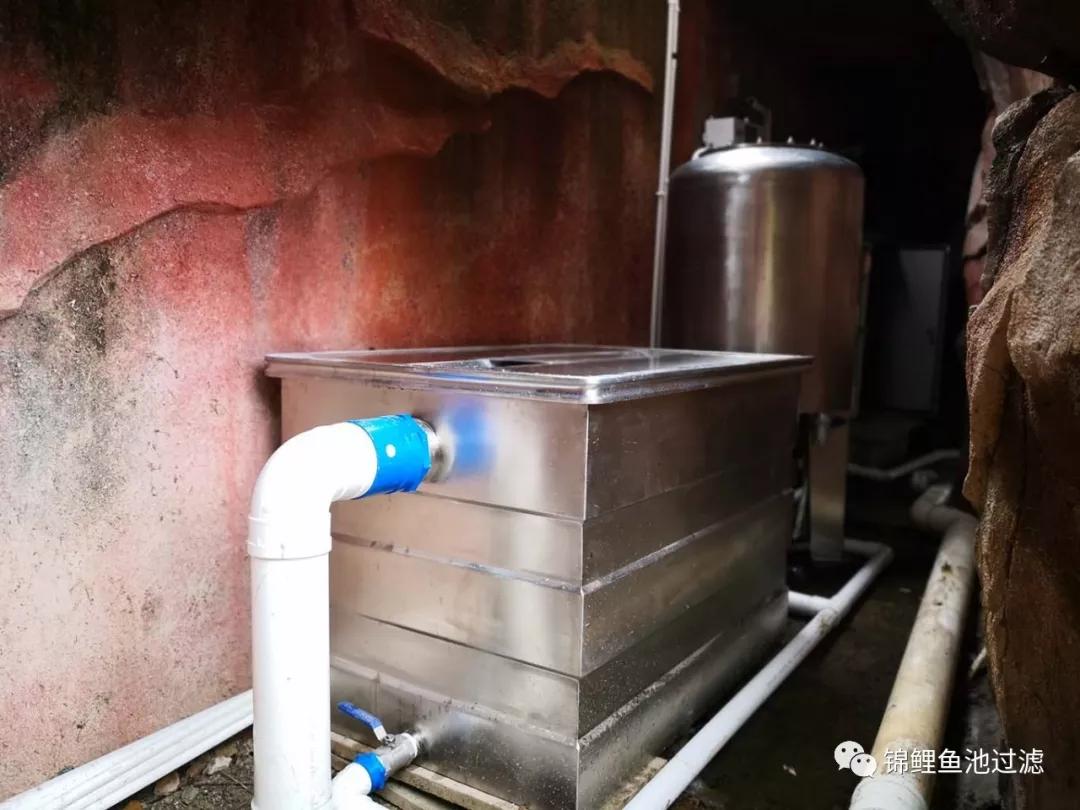 养锦鲤必备的一款鱼池过滤器,锦鲤鱼池过滤器自制方法