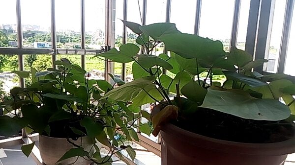 中国cba4月6号的篮球赛,cba篮球今天都有哪些队比赛