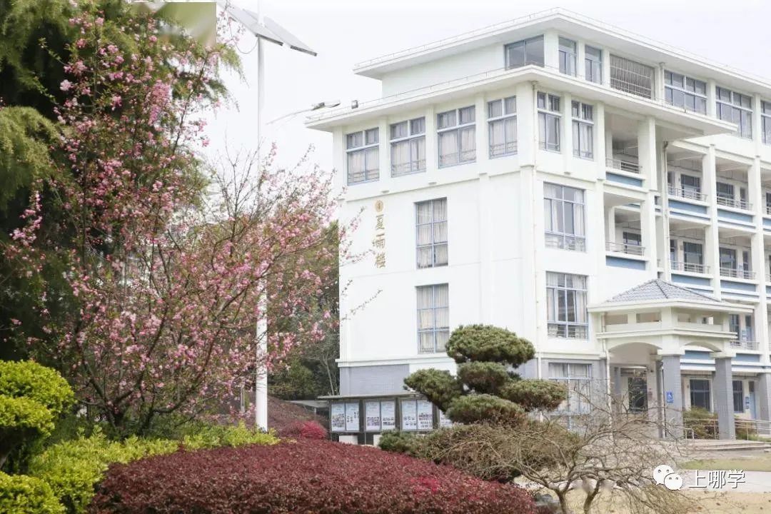 上海2020新增学位,上海各大学2024新增学位点