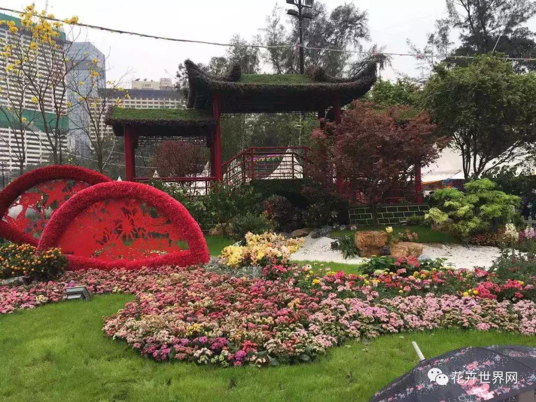 共赴盛会活动,香港国际花卉展