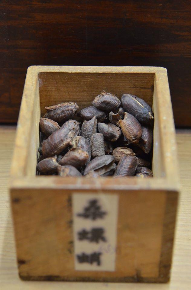 辟谣螳螂吃瘊子,螳螂为什么吃掉配偶真相是什么