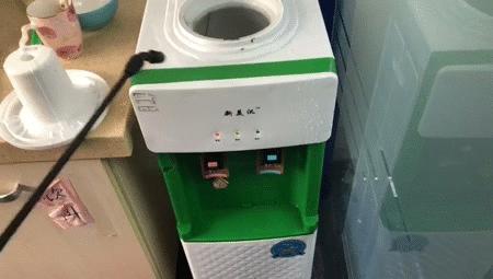 饮水机爬出蟑螂,饮水机老是有蟑螂进去怎么办