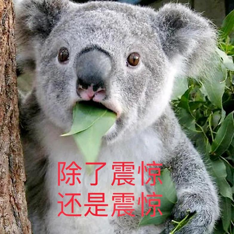 侵害妇女的法律责任,侵害妇女的刑事案件