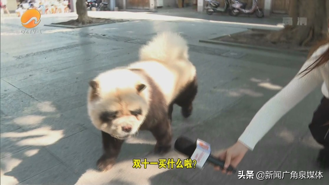 双十一来了你准备了吗,双十一来了你剁手吗