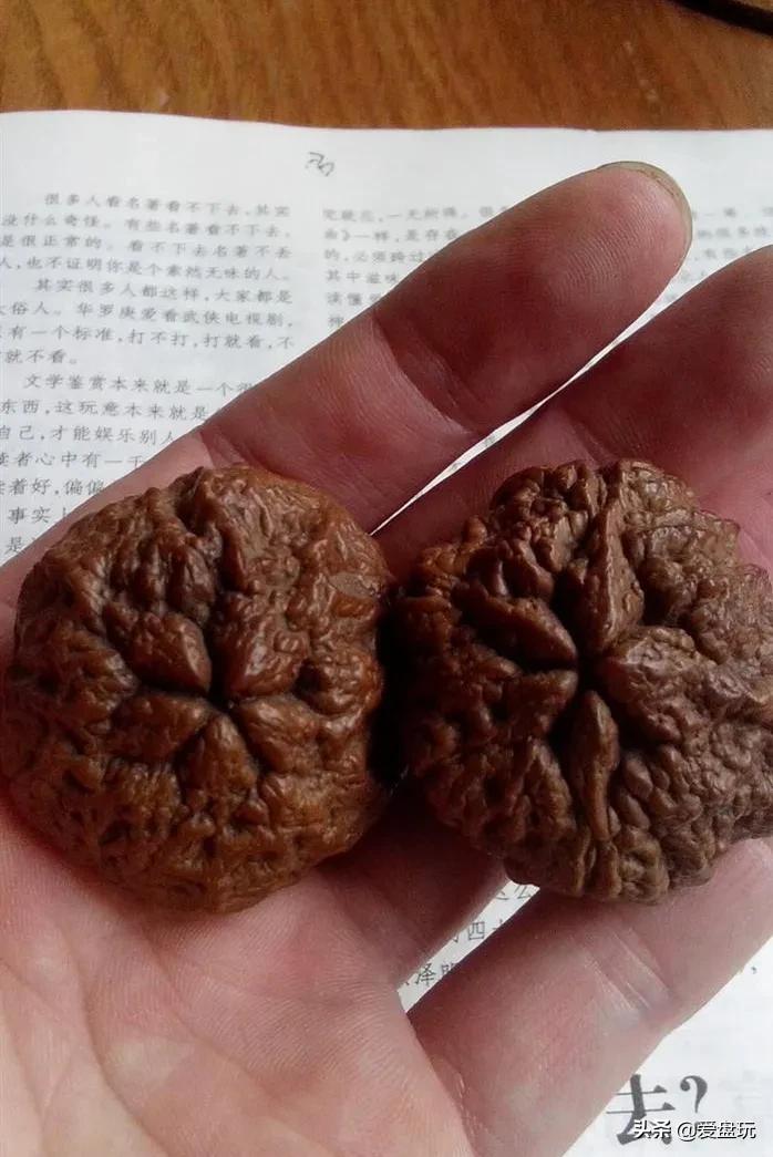 哪种菩提能盘玩时间最久,最值得玩的三种菩提