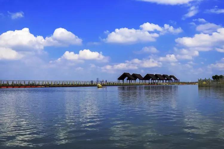 澶у鏈潵鍙湡,澶у灏嗗惎鍏ㄥ煄浠版