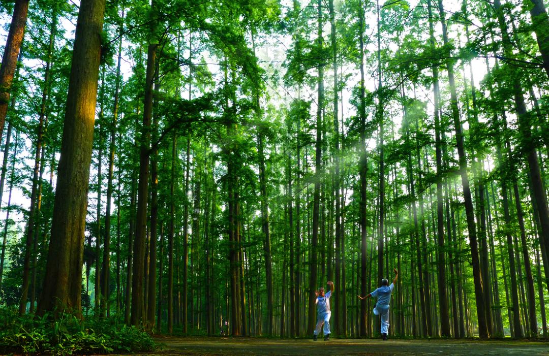 潜江旅游景点推荐,十堰至潜江路途旅游景点