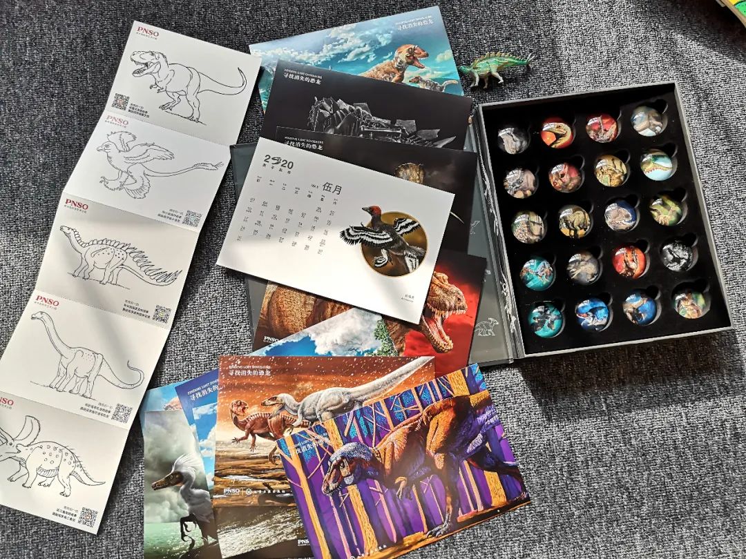 适合孩子看的恐龙科普书,适合5岁孩子看的恐龙科普书