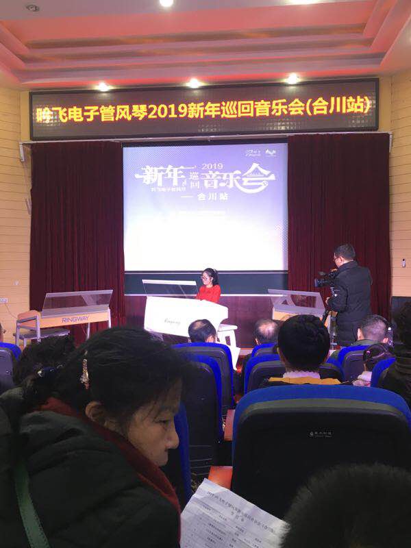 吟飞新年音乐会,吟飞电子管风琴图片