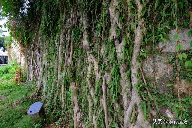 赤湾大铁炮台,赤湾古炮台深圳市