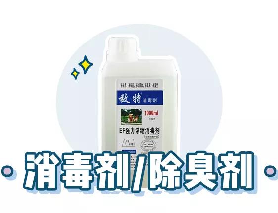 萌新应该养什么便宜宠物狗,萌新怎么入门宠物技能