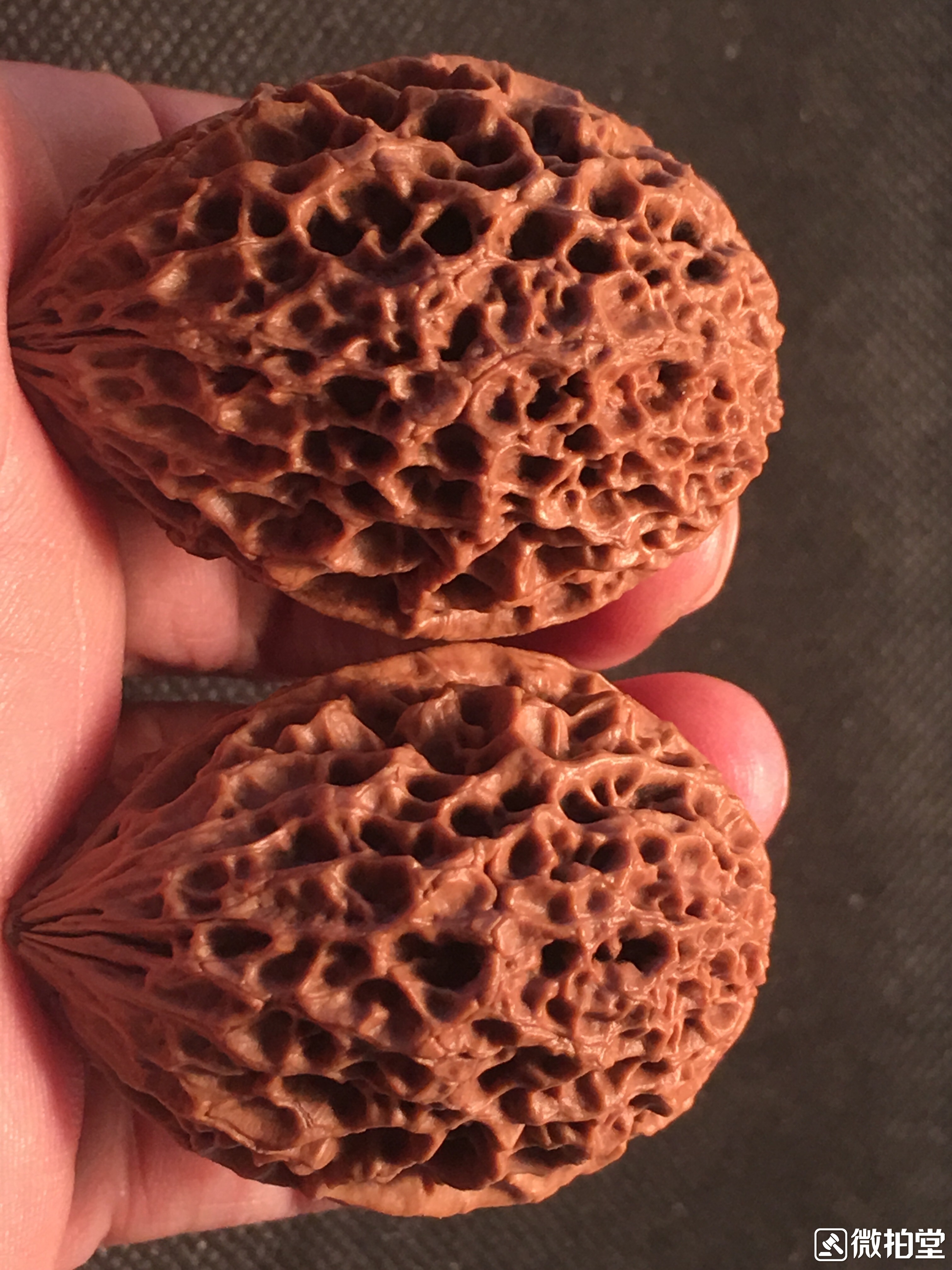 文玩核桃蛤蟆头产地,文玩核桃产地哪里的最好