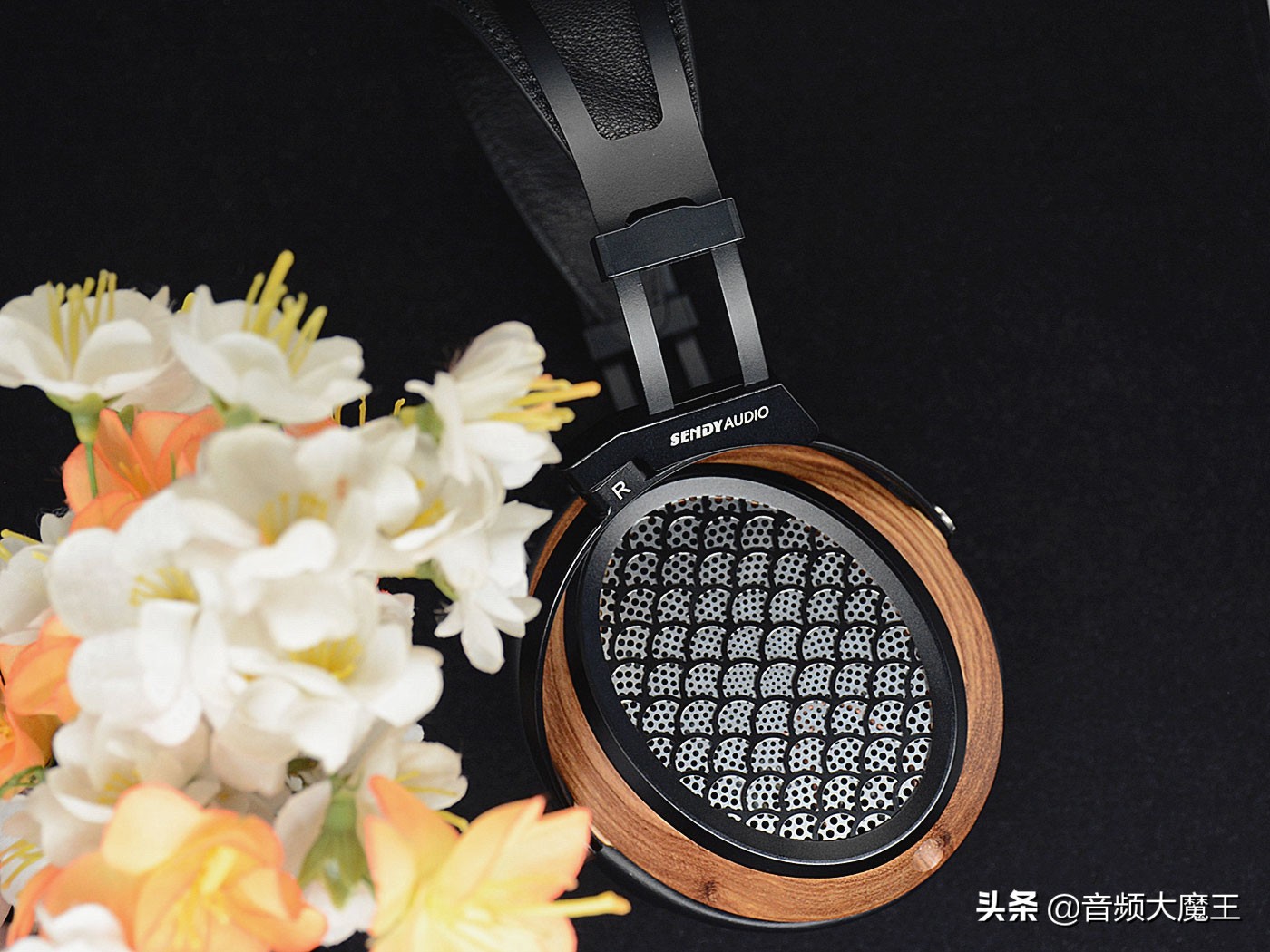 木匠与美人——SendyAudio黑美人Aiva平板耳机评测