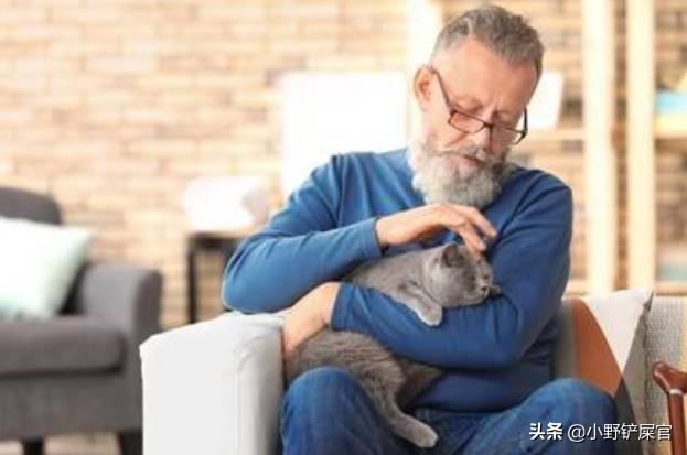 为啥年轻人爱养猫老人喜欢养狗,陪伴老人养狗还是养猫