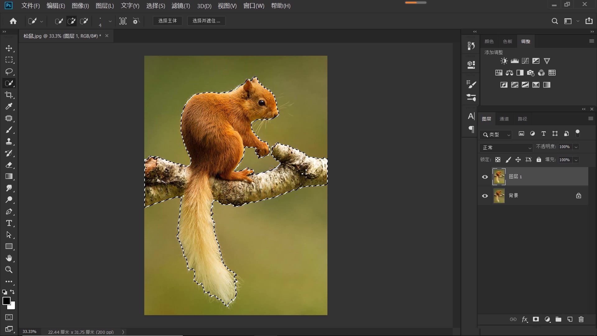 ps抠图动物最快又完整的方法,ps抠图教程动物毛发新手