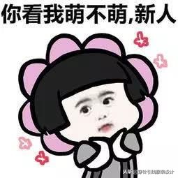 新生必看|最强导师精品课程合辑