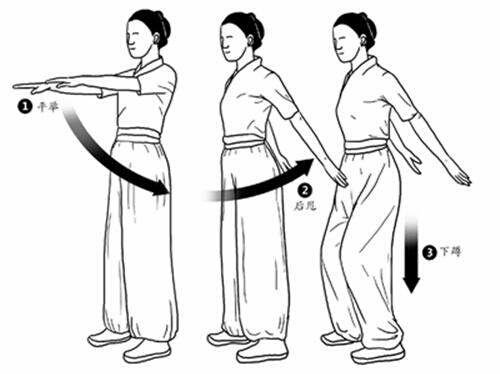 人老腿先衰是精气不足了吗,人老腿先衰诗词