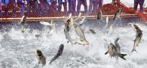 江苏省宿迁市位置简介,中国江苏省宿迁市概述