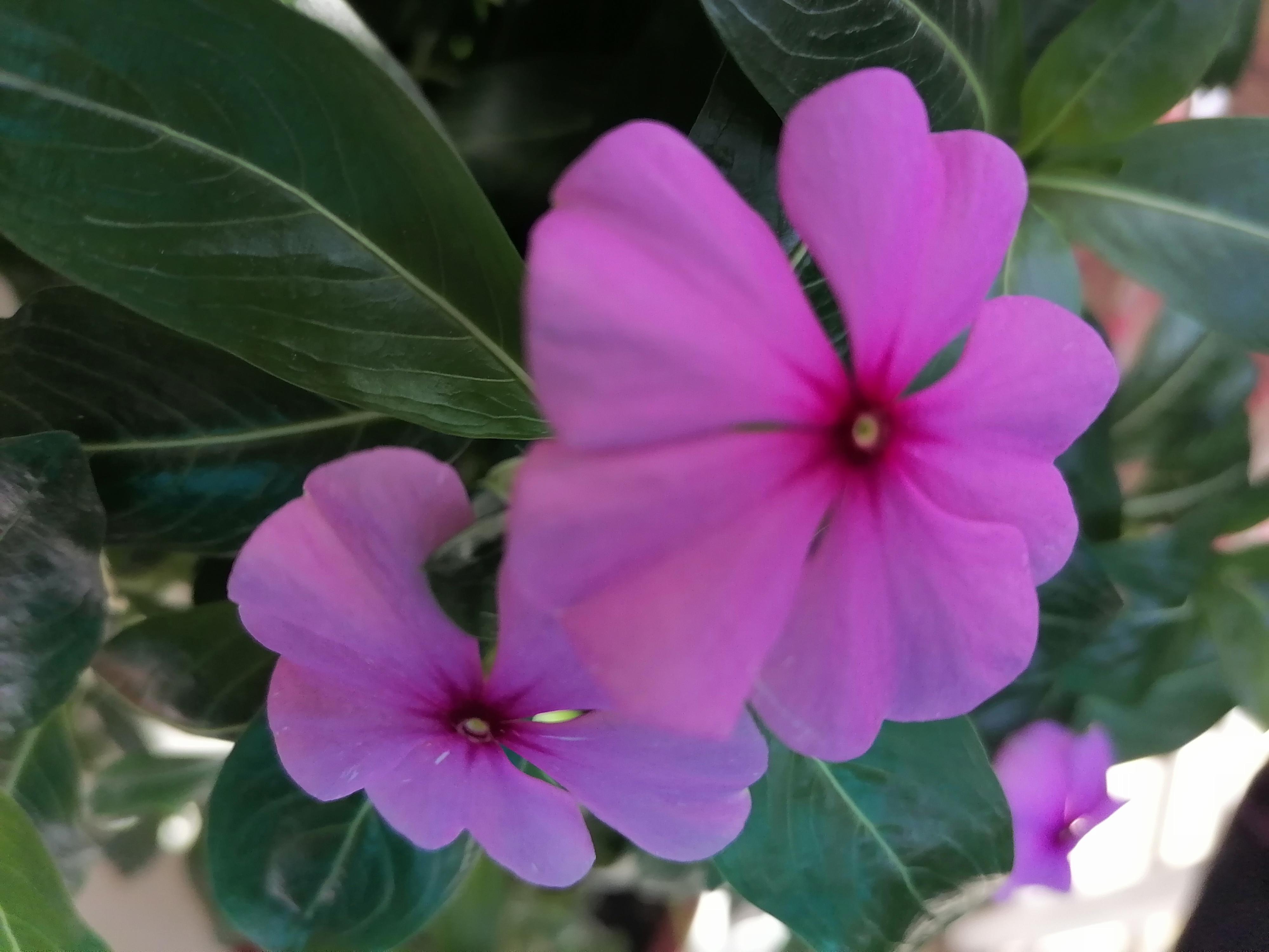 人生如梦岁月如梭转瞬即逝,人生如梦转瞬即逝