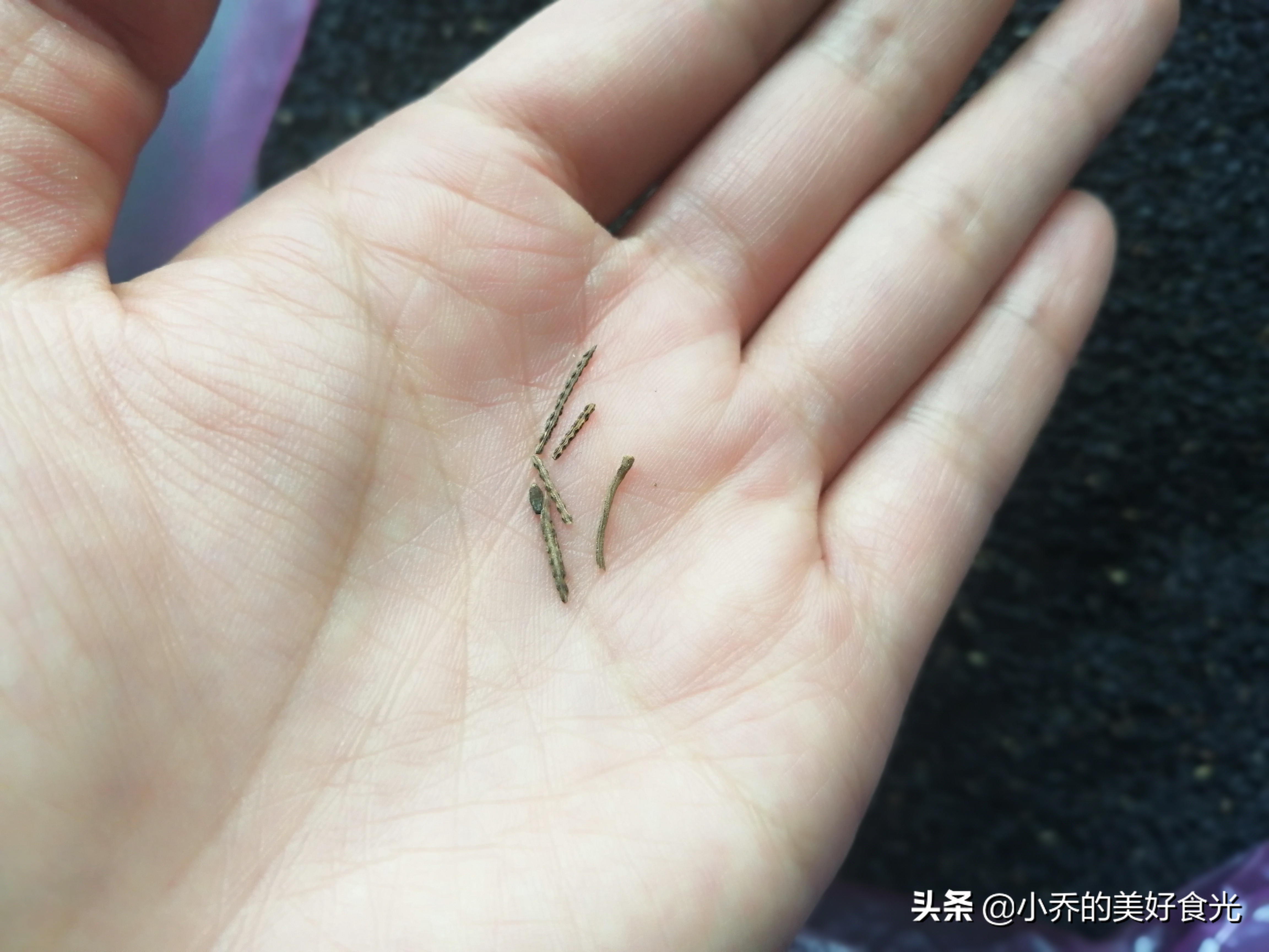 芝麻里的泥沙怎么洗才干净,清洗芝麻小窍门