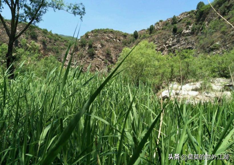 密云水库徒步旅游攻略,北京密云树林旅游攻略