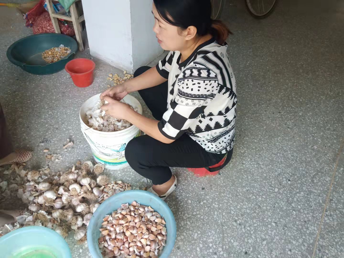 大蒜怎么种又快又简单小学生,种大蒜的最好方法小技巧