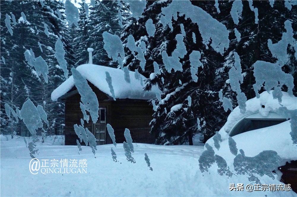 诗与远方：冬游喀纳斯