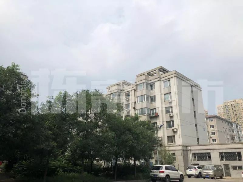 铁西杏坛总校二手房,铁西杏坛中学学区房