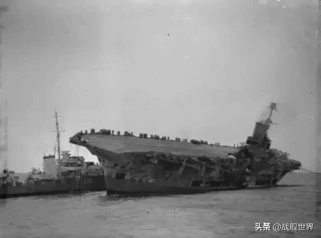 撸猫一时爽,撸错就很惨,盘点这些战舰上的玄学舰猫,你了解多少