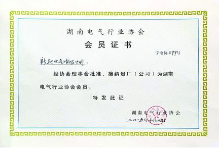 新驰电气集团有限公司售后,新驰电气集团有限公司上市没