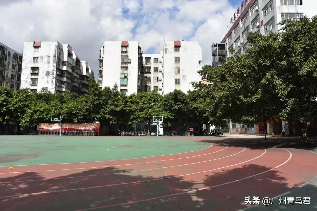 广州哪里有隐藏的秘密基地,广州隐秘的角落