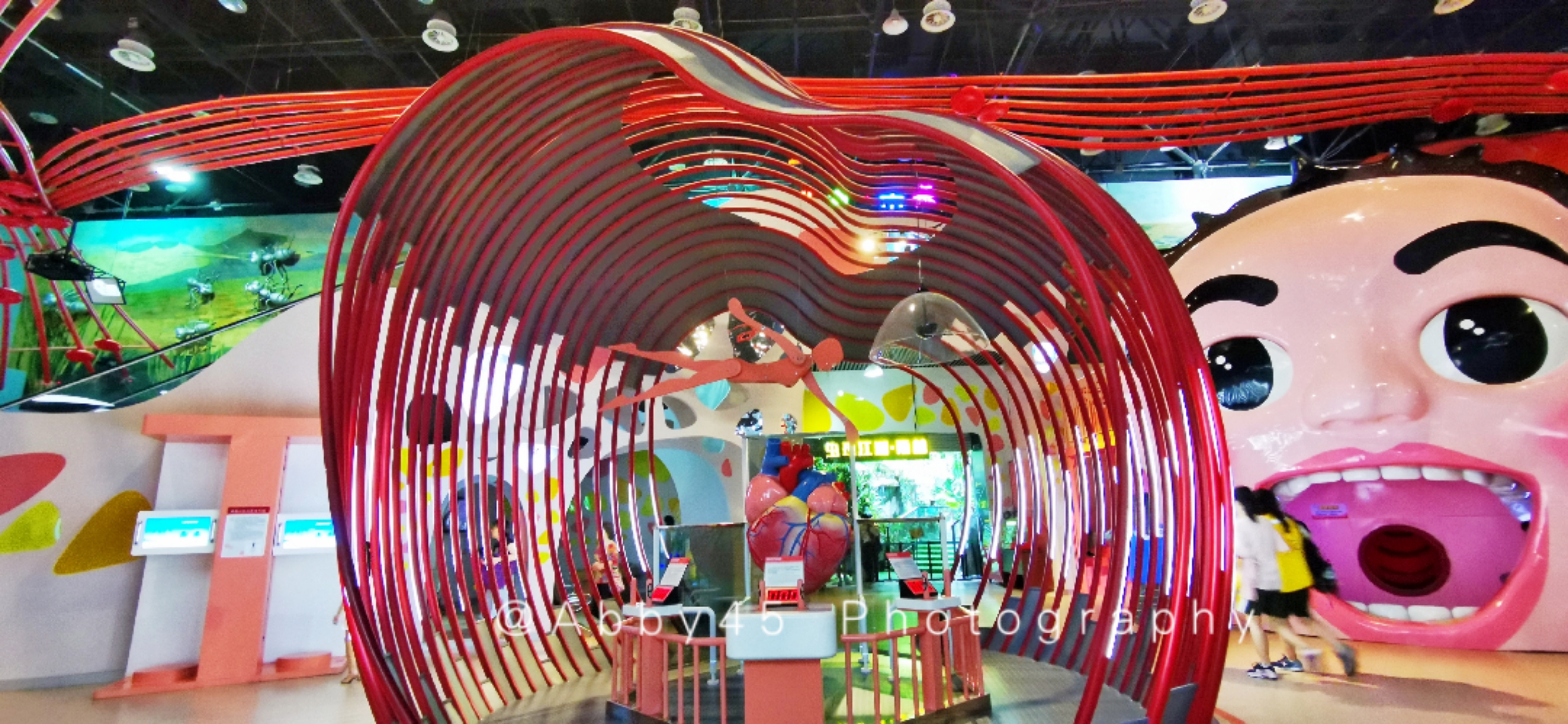 厦门亲子旅游三天两夜全攻略,带父母去厦门旅行攻略