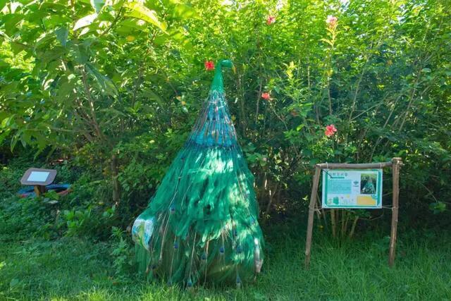 深圳免费公园哪里最好啊,深圳十大免费公园景点大全