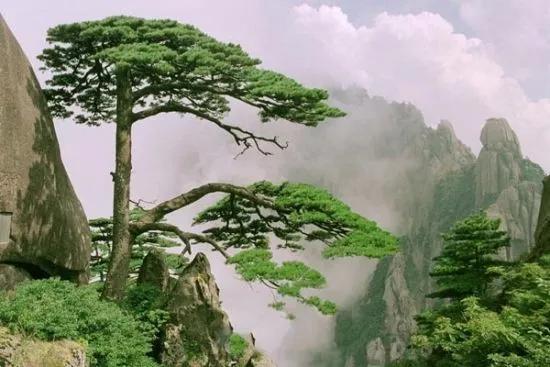 醉美黄山景区,醉美黄山行视频